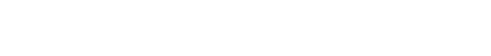Wisdom International